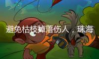 避免枯枝掉落伤人
，珠海数字城管开展行道树专项治理