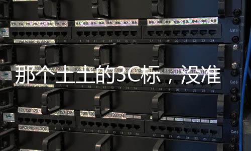 赛博其实说到最后