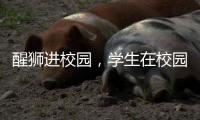 醒狮进校园	
，学生在校园感受浓郁广府文化熏陶