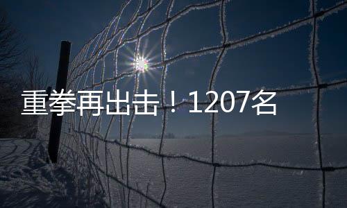 其中网上在逃人员41名