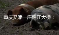 重庆又添一座跨江大桥�
：马鞍石复线桥开工建设