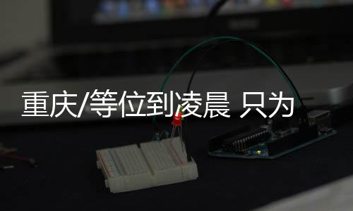重庆宗火今年春节假期前五日