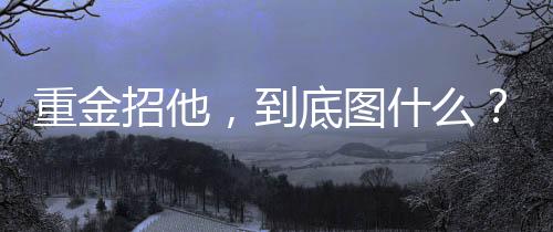 这样单打能力极强的什场球员