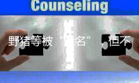 野猪等被“除名”，但不意味着可随意捕杀
