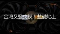 金湾又登央视
！盐碱地上“变”出1.8万亩良田