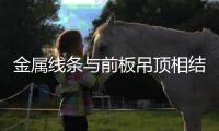 金属线条与前板吊顶相结合	，诠释高级沉稳的空间氛围