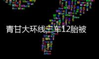 青甘大环线三车12胎被扎，官方通报：两人被抓