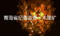 青海省纪委监委	：木里矿区非法采煤问题立案查处15人
