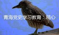 青海党史学习教育
：精心谋划确保有特色 挖掘红色资源“活教材”