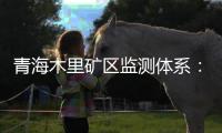 青海木里矿区监测体系	
：矿区环境质量稳定