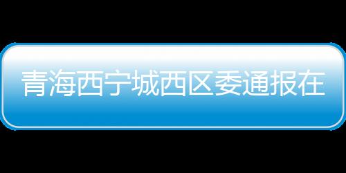 青海区委专业指导不够