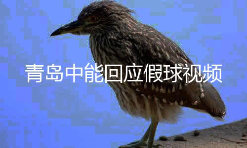 青岛这严重损害了俱乐部名誉