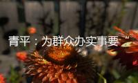 青平�
：为群众办实事要“踩准步点”