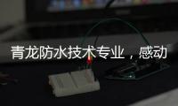 青龙防水技术专业
，感动业主获赠锦旗