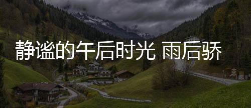 大口大口地呼吸