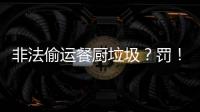 非法偷运餐厨垃圾？罚
！