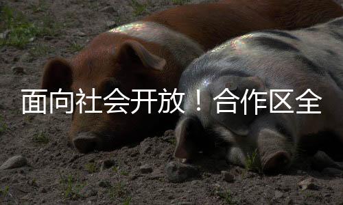 蒙辱受难的区全近代史