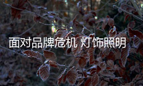 在经历风雨的B道路上