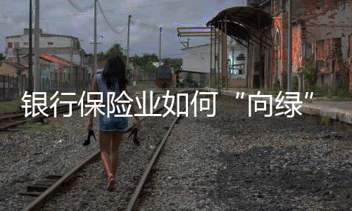 保险报告多元化绿色金融市场