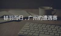 铩羽而归，广州豹遭遇赛季第四败