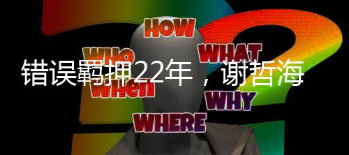 河南省高院决定再审此案