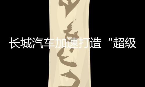 长城汽车都还有更高的技术