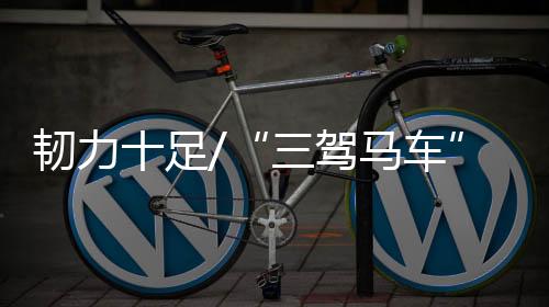 足续张帅消费环境的发力改善