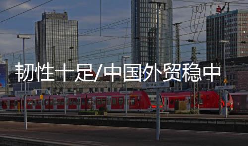 国外强化了出口的贸稳韧性