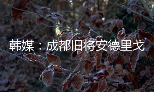 多家俱乐部对他表现出了兴趣