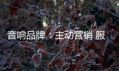 音响营销音响是品牌必消品