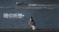 随你所想•体验未来丨海信照明系统，照亮你的生活