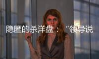 隐匿的杀洋盘：“领导说是帮外国用户保管虚拟币”