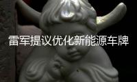 雷军提议优化新能源车牌设计，网友：期待个性化色彩样式
