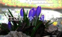 雷士这款“小”巧可爱的灯	，居然有“大”作用