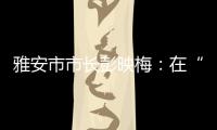 快排公司十年历程，霸屏兔 seo 的崛起与坚守