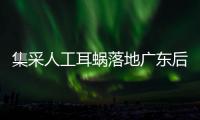 集采人工耳蜗落地广东后
，哪些人最受益
？
