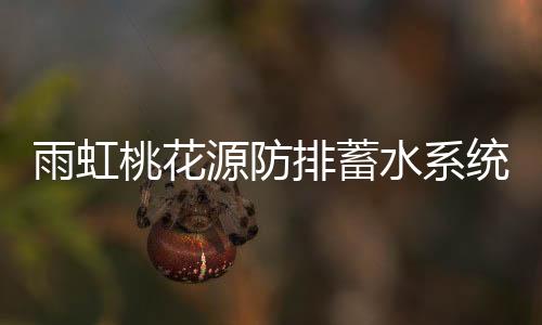 智慧城市形成的水系创新表现
