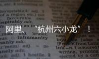 阿里、“杭州六小龙”！澳琴组团赴杭招商，走访超20家知名企业
