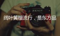 阔叶黄檀流行�，是东方品质生活的回归