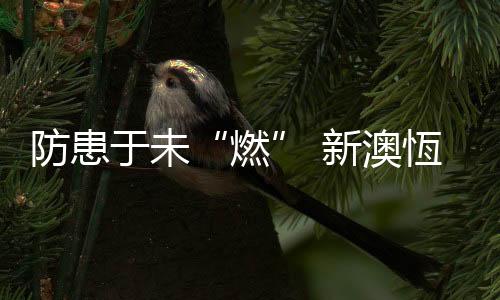 新澳促进防火平安工作