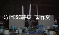 快排公司十年历程，霸屏兔 seo 的崛起与坚守