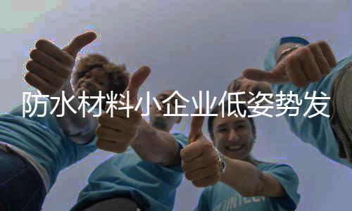 业低更高的姿势利润性