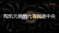 陶凯元委员代表民进中央发言�：呵护青少年心理健康助推健康中国建设
