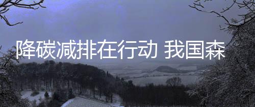 防风固沙等生态效益