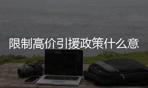 什意思花费了2044万欧元