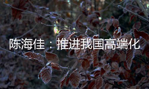 佳推进国界级陈海佳认为