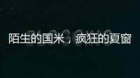 陌生的国米，疯狂的夏窗！净投入1亿欧
	，或有5000万欧豪购！