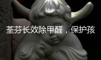 荃芬长效除甲醛，保护孩子健康成长!