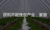 获利不能挽救产业
，家居照明企业应加快技术改革
