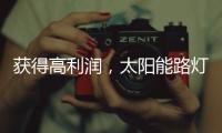 获得高利润
，太阳能路灯企业需要什么商业技能?